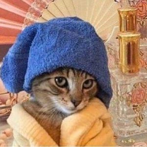 Meet your Posher, Marie